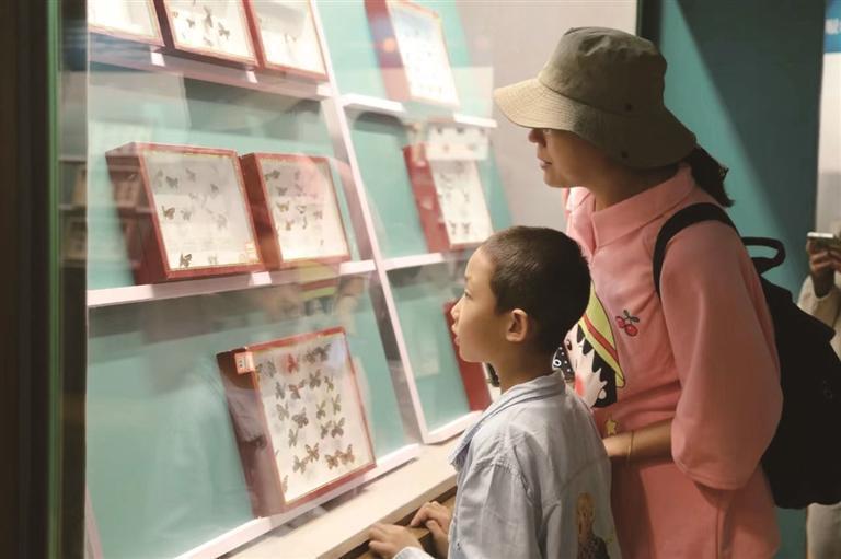 市民观看“眷恋昆虫”——甘肃省博物馆藏昆虫展