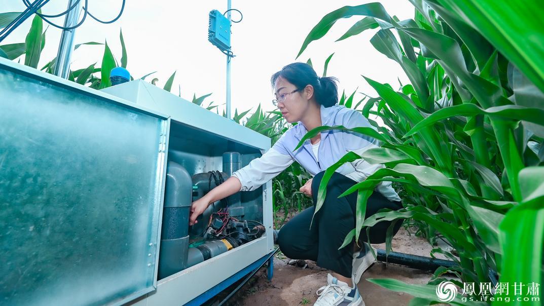 金川区农业技术推广服务中心主任张婷查看灌溉系统运行情况 李德宇 摄