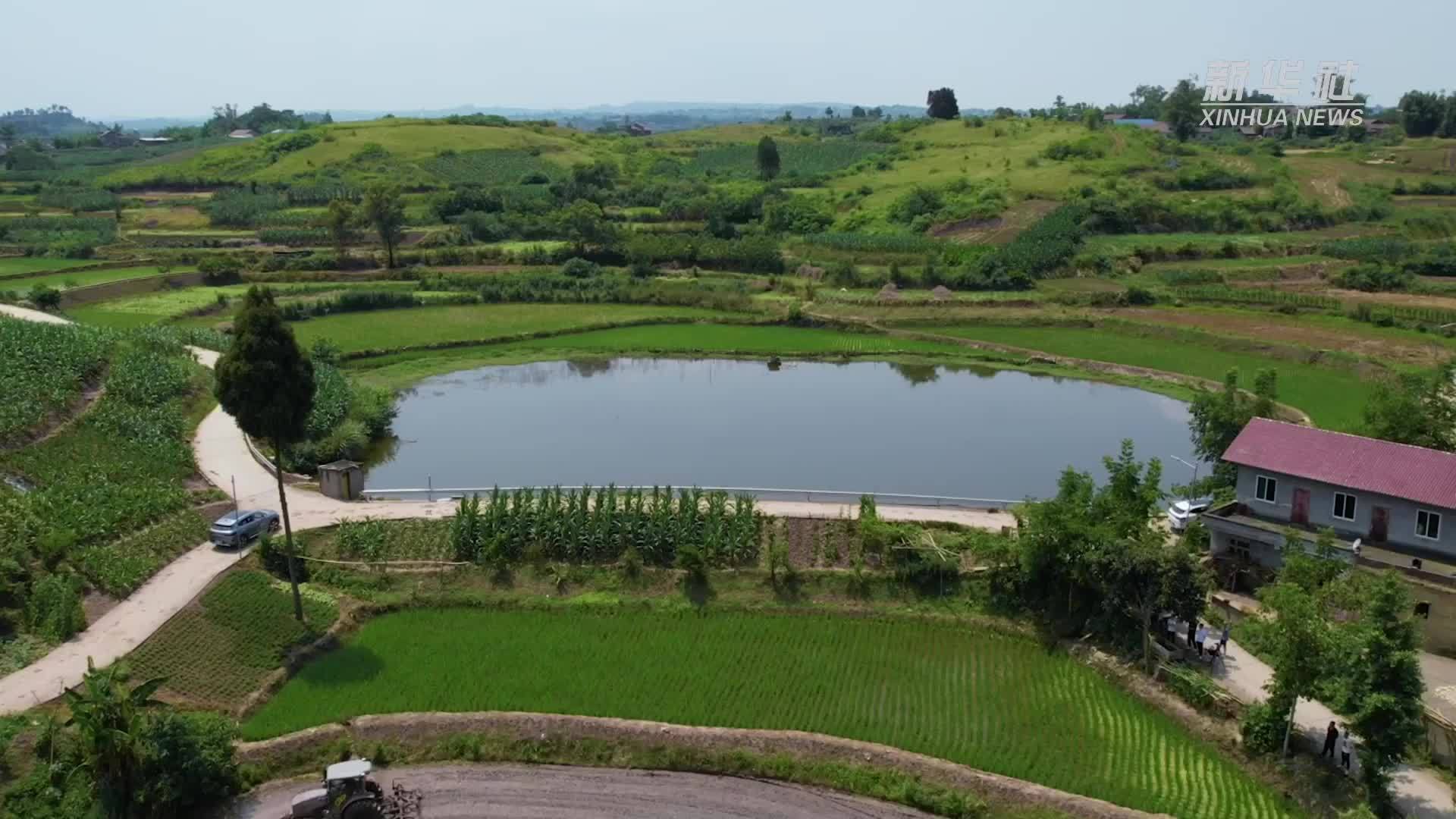 “天府粮仓”新“丰”景