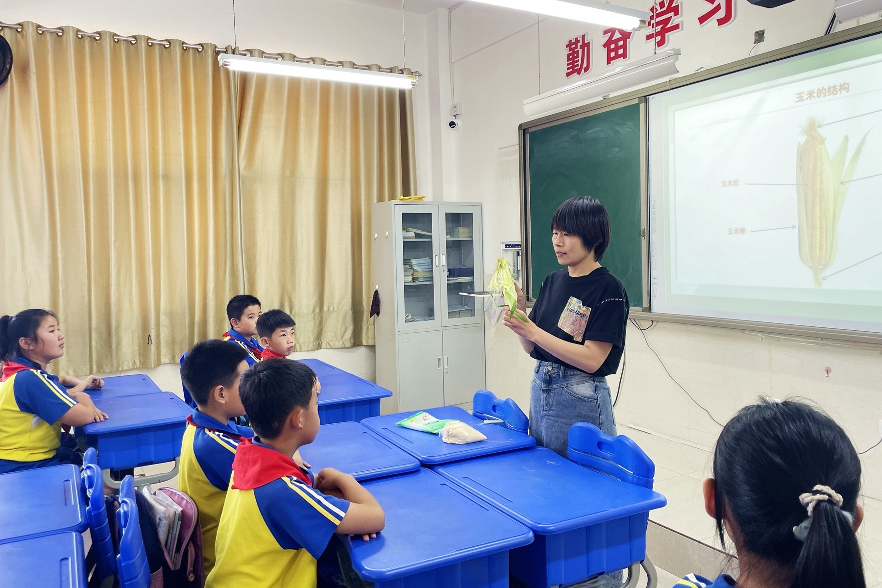 秦皇岛太和寨小学：“玉”见美好 特色课程教育提升学生综合素质