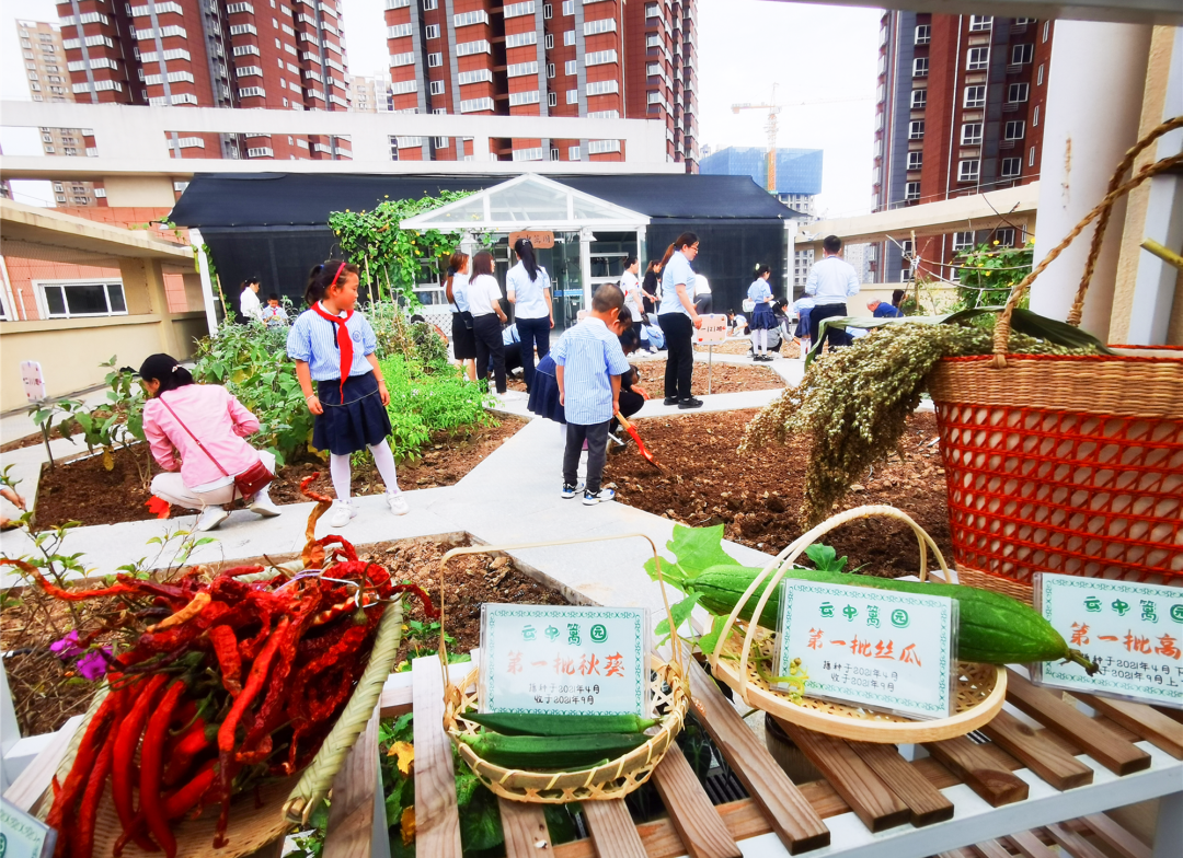 浐灞第十小学“云中篱园”