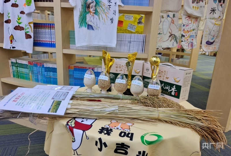 馆内展品（央广网记者 张学龙 摄）