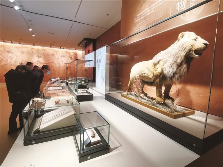 游客参观甘肃简牍博物馆