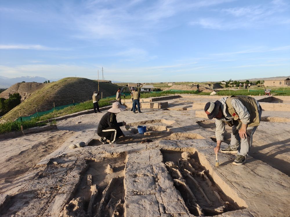 中乌考古工作者在乌兹别克斯坦契纳尔特佩遗址进行考古工作。唐云鹏供图