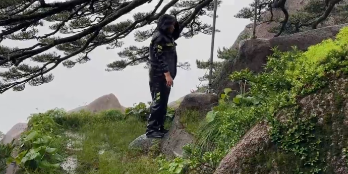 暴雨红色预警！黄山“一树一策”全天值守迎客松