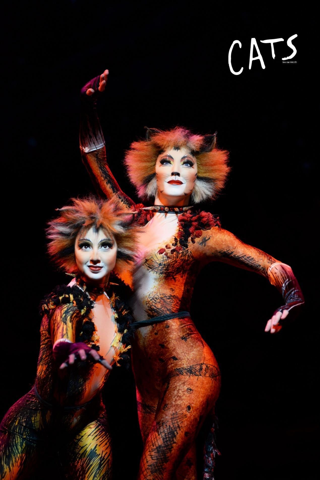 原版音乐剧《猫》开票｜音乐剧史上无法超越的巅峰之作回来了！