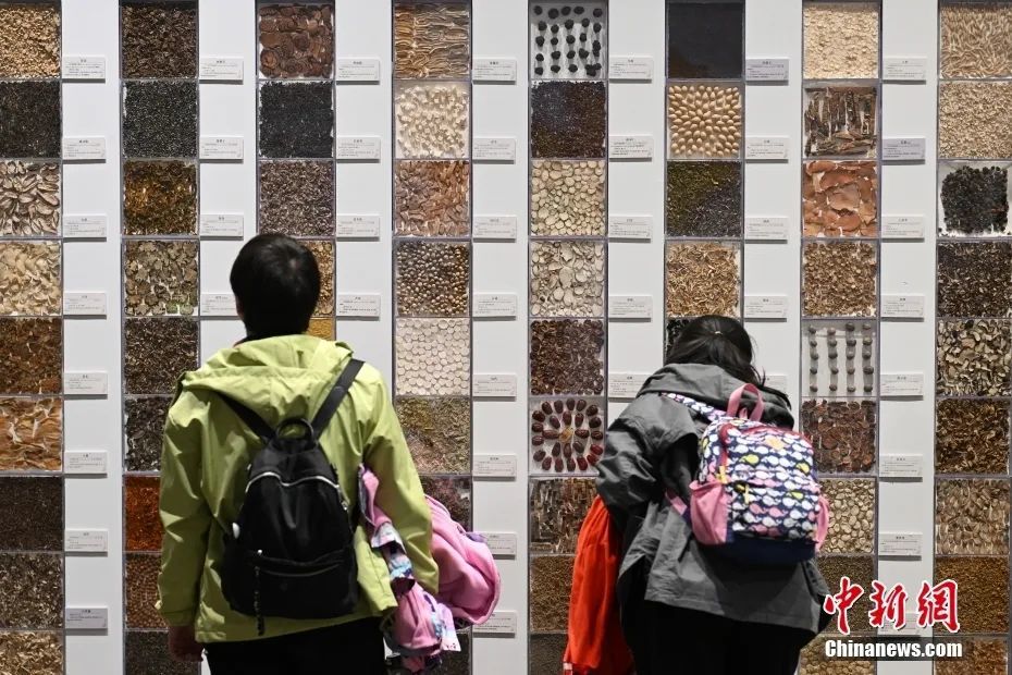 图为展出的药材饮片。田雨昊 摄