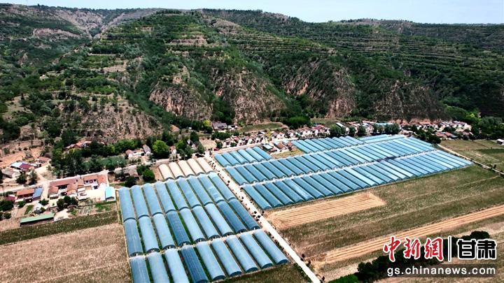 图为红河乡东庄村设施蔬菜园区。