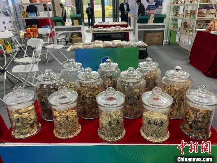 图为多种中药原材料。李韵涵 摄