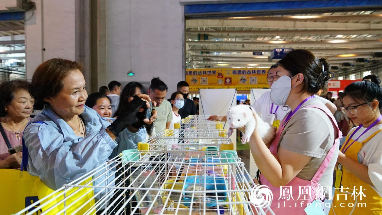 6月28日至30日 东北亚（长春）国际宠物展开幕