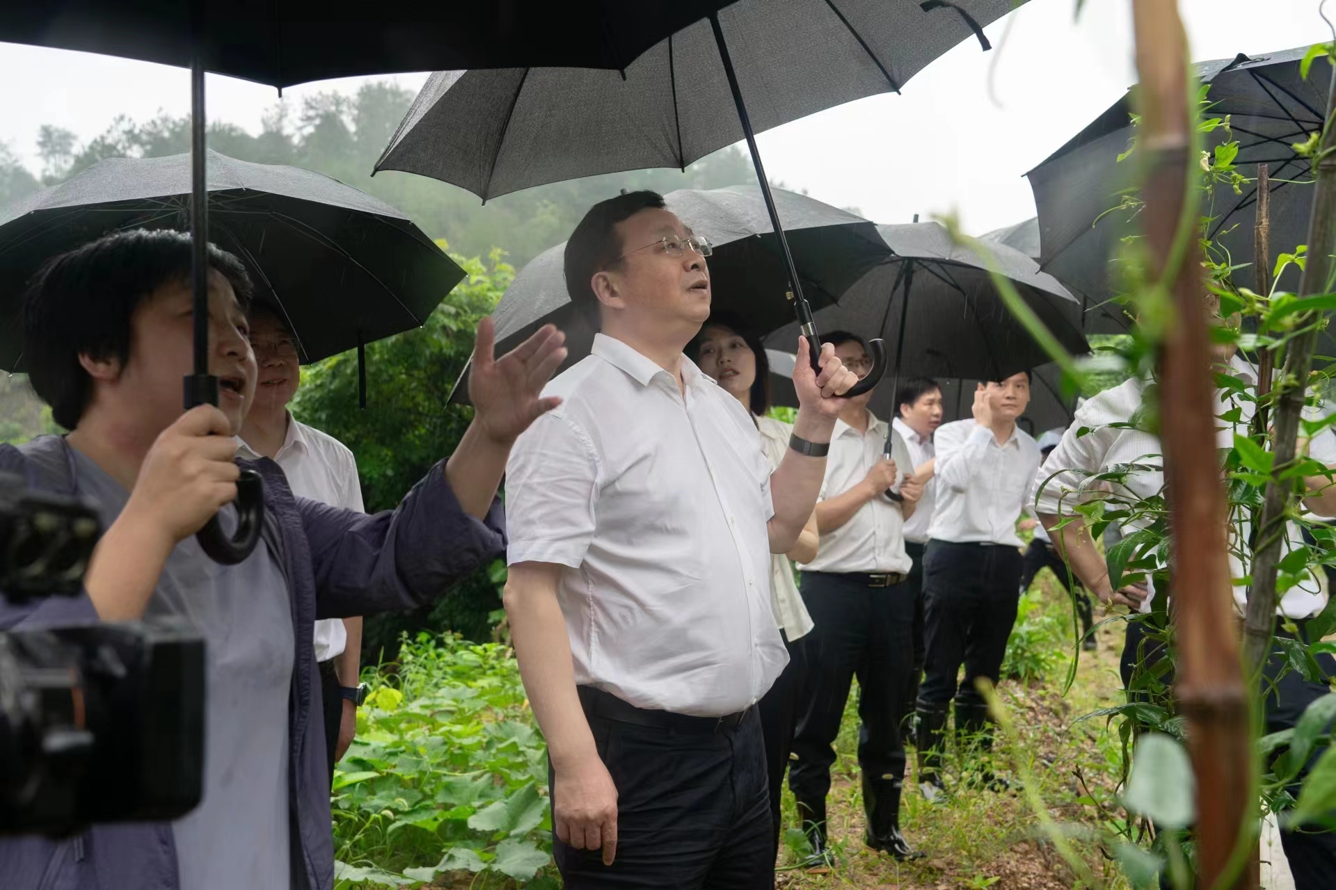 湖北省自然资源厅一行调研老街滑坡治理工程现场