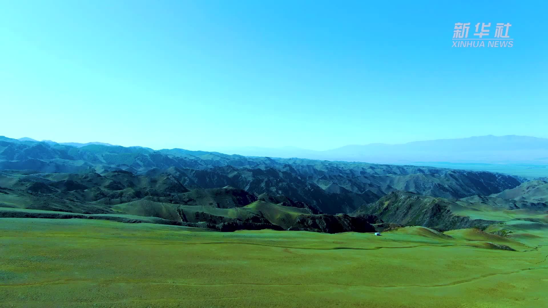 千城胜景丨东天山牧区迎来最美转场