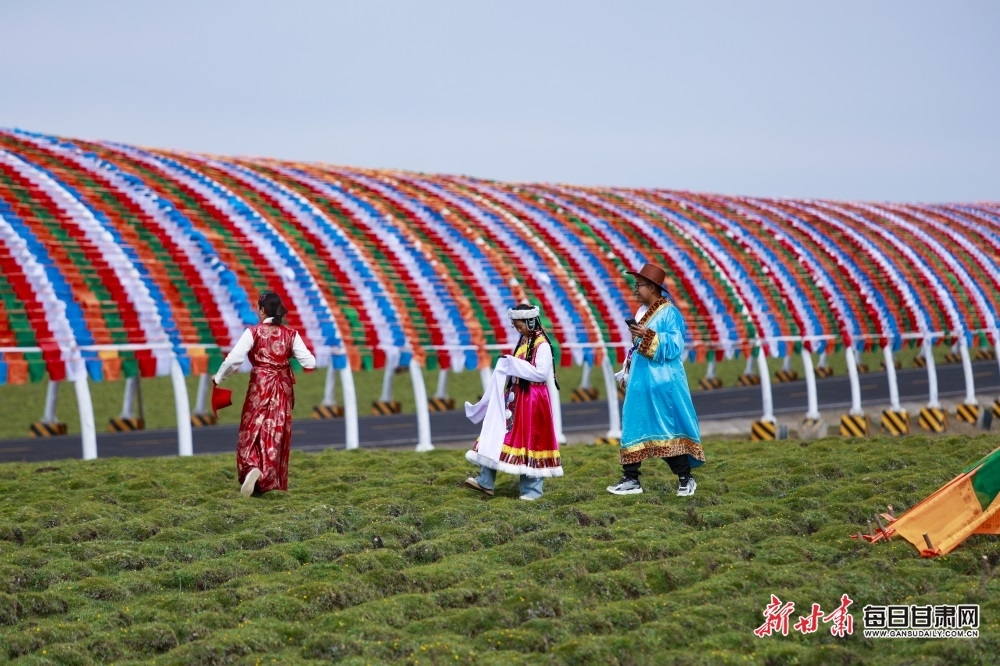 夏日甘南美仁大草原每一帧都是大片