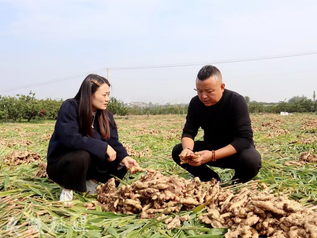 叶亮(左二)和丰收的姜田