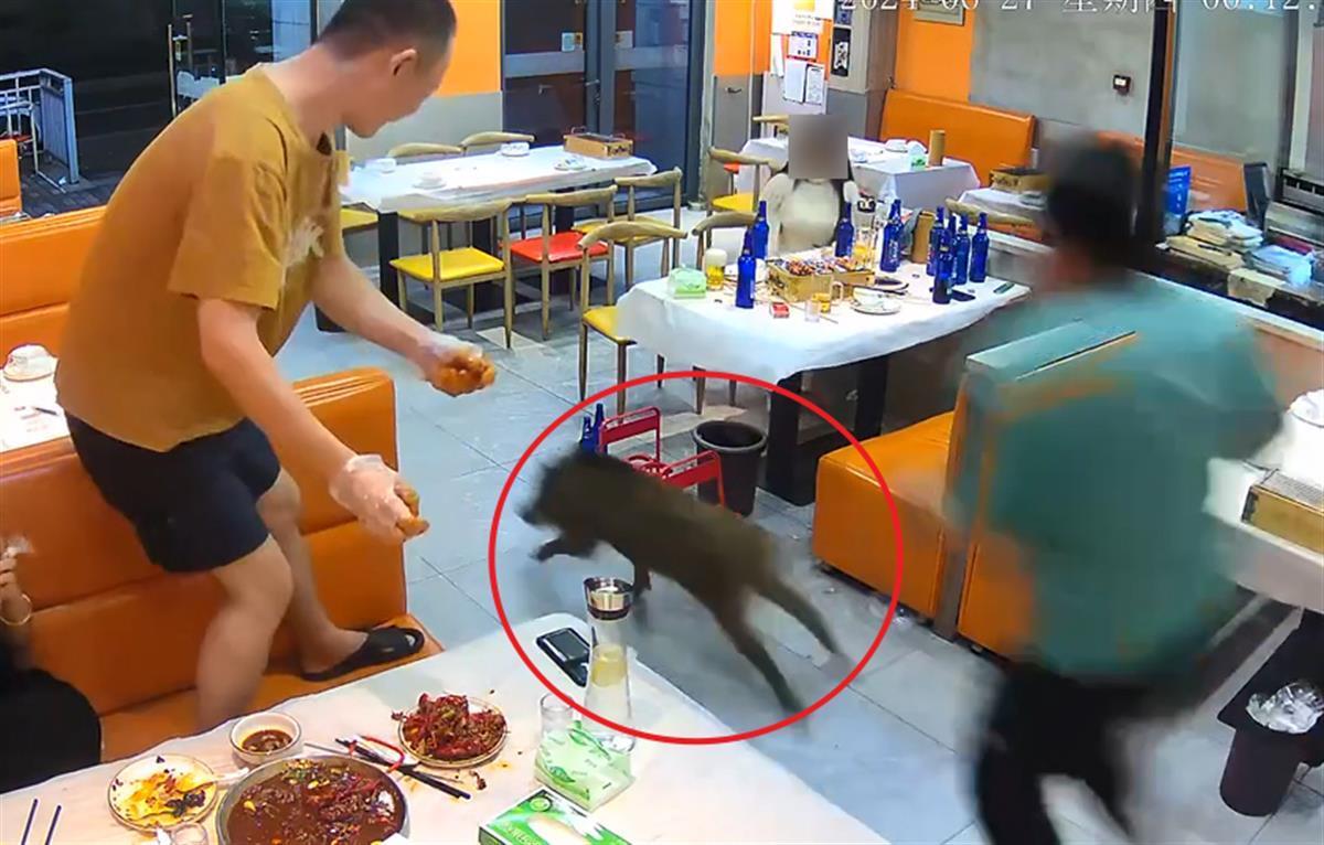 视频截图.jpg