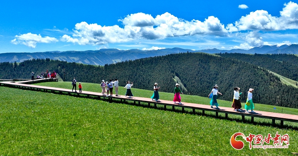 6月21日，游客在被誉为“空中草原”的祁连山国家公园甘肃省张掖市肃南裕固族自治县康乐草原段，领略雪山、森林、草原、蓝天融为一体的旖旎风光。