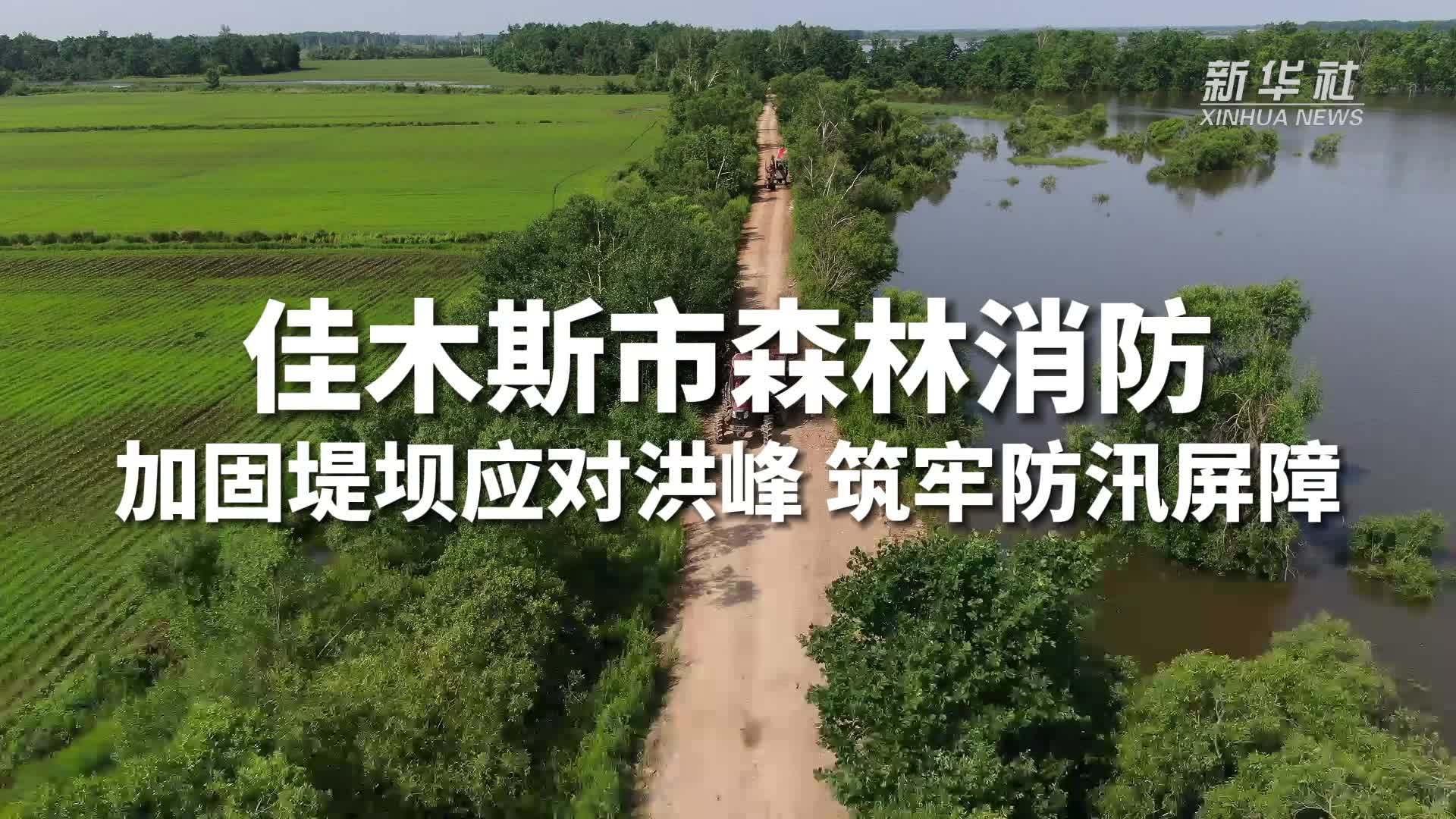 佳木斯森林消防：加固堤坝应对洪峰，筑牢防汛屏障