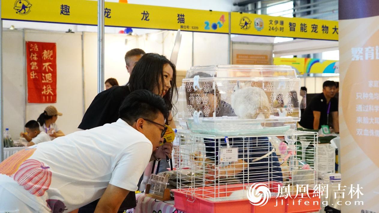 6月28日至30日 东北亚（长春）国际宠物展开幕