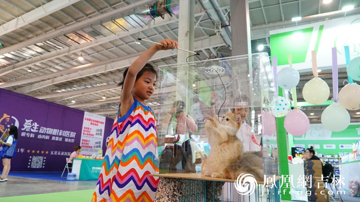 6月28日至30日 东北亚（长春）国际宠物展开幕