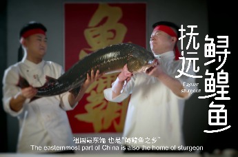 尽览北国好风光！ 黑龙江文旅形象系列宣传片全球发布啦（美食）