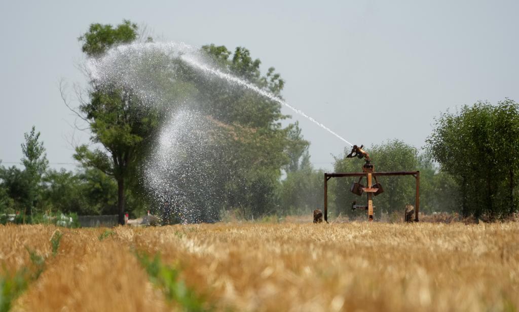 6月25日，在山东省德州市临邑县临南镇，灌溉设备正在作业。（新华社记者 徐速绘 摄）