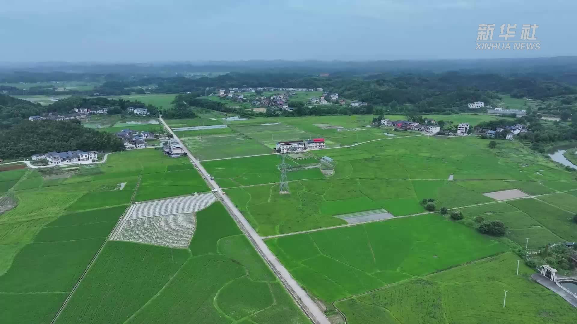 湖南完成全国首次带电作业机器人自主上下线高空检修