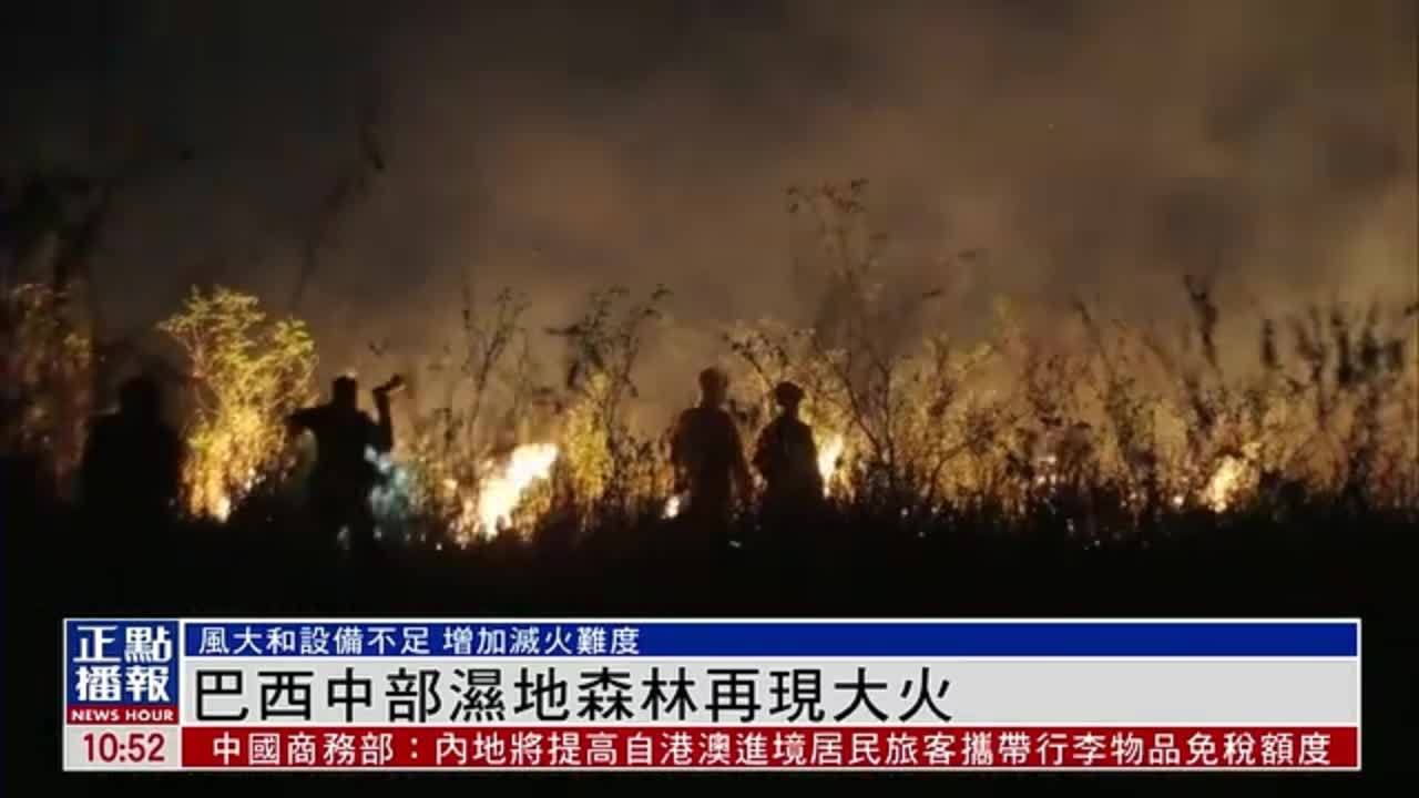 巴西中部湿地森林再现大火