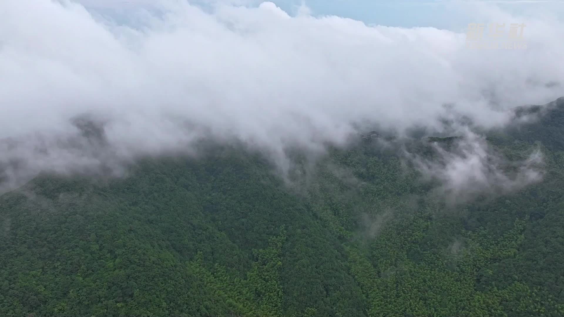 江苏溧阳：竹海云雾缭绕似仙境