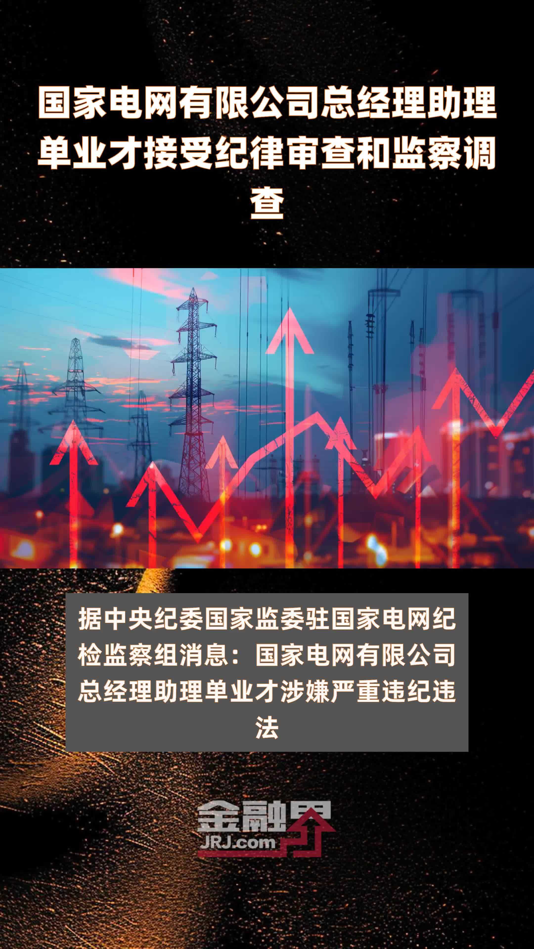 国家电网有限公司总经理助理单业才接受纪律审查和监察调查|快报