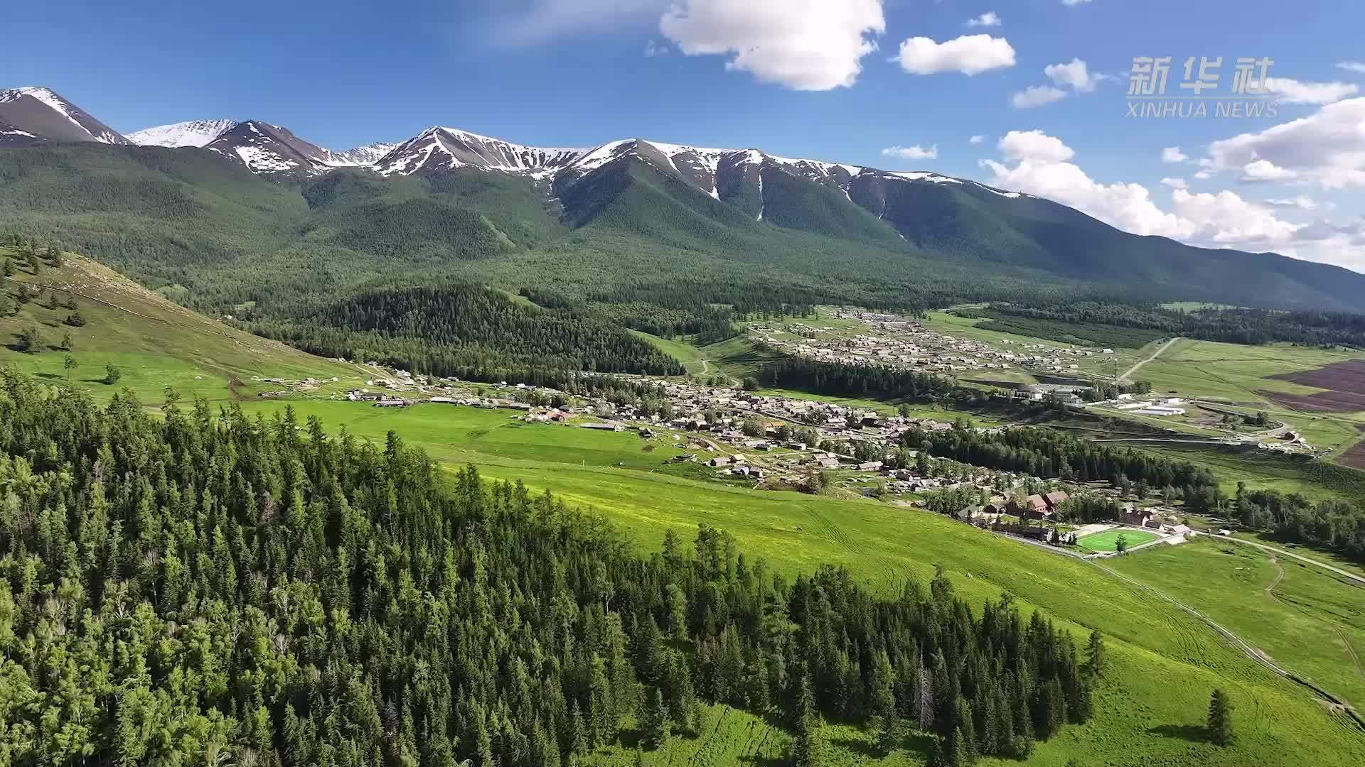 新疆白哈巴村：夏日风景美不胜收