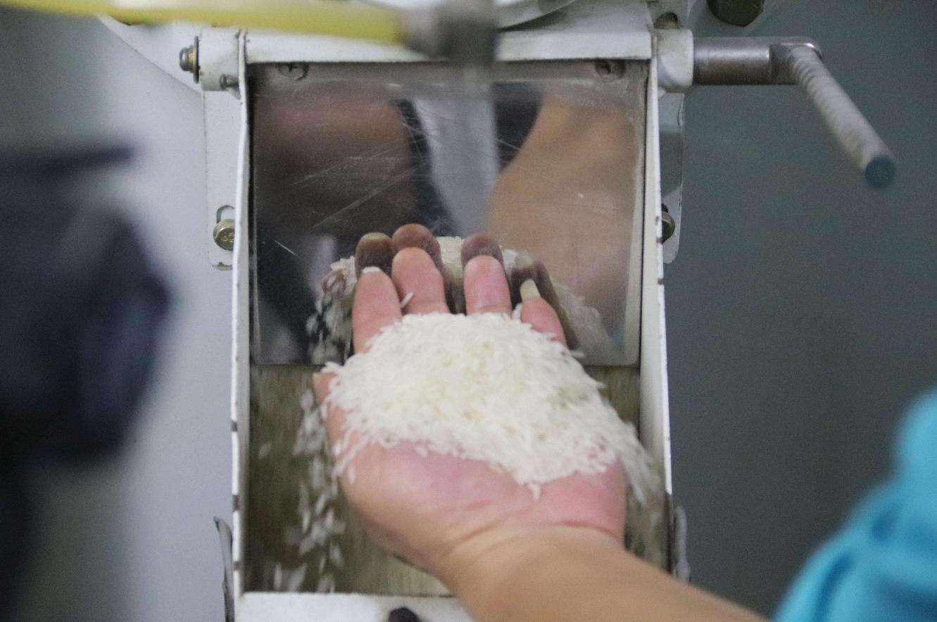 生产线上，工人们正在观测经过电脑色选机之后的米粒