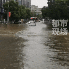 景德镇网友拍摄画面