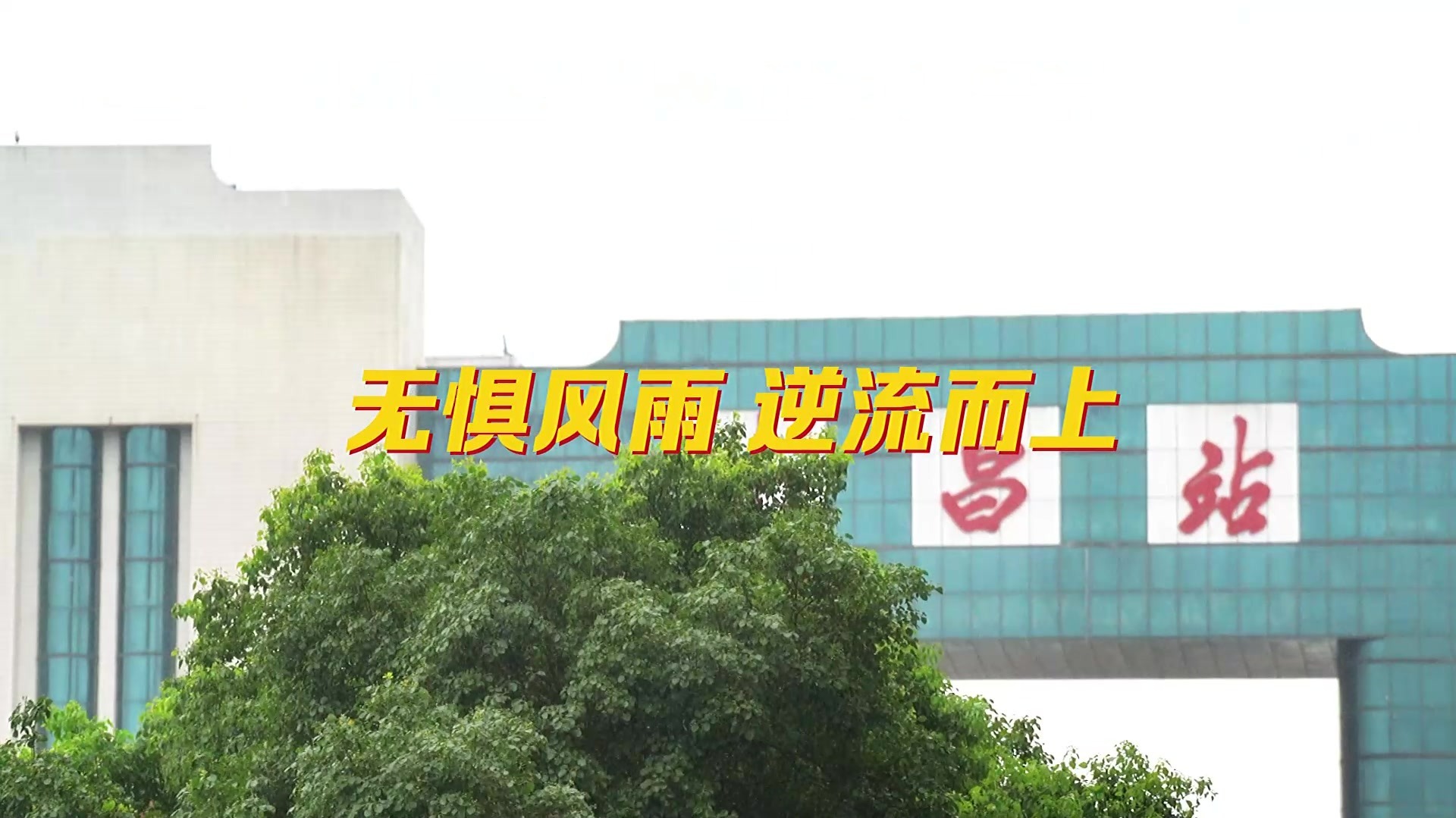 无畏风雨 逆流而上