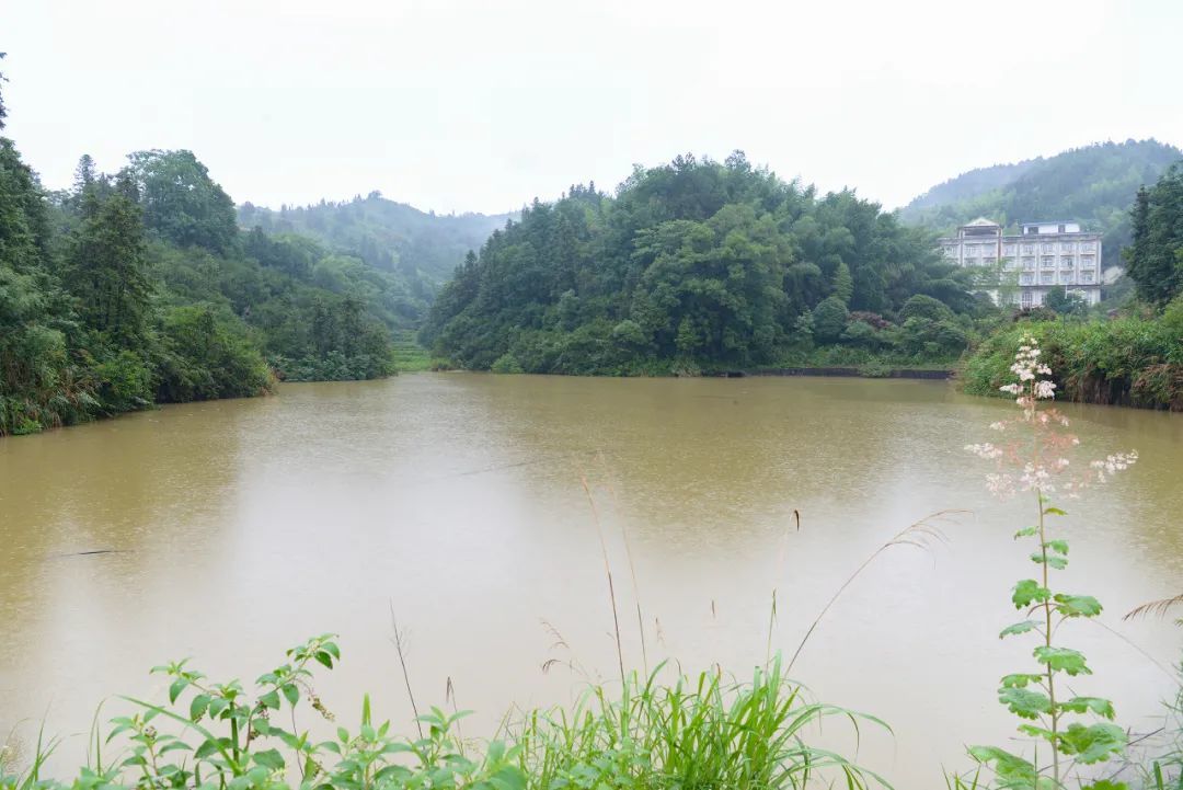 万载县黄茅镇洪炉村茶冲山塘