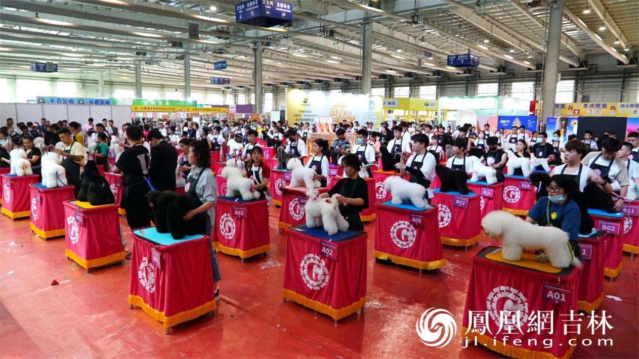6月28日至30日 东北亚（长春）国际宠物展开幕