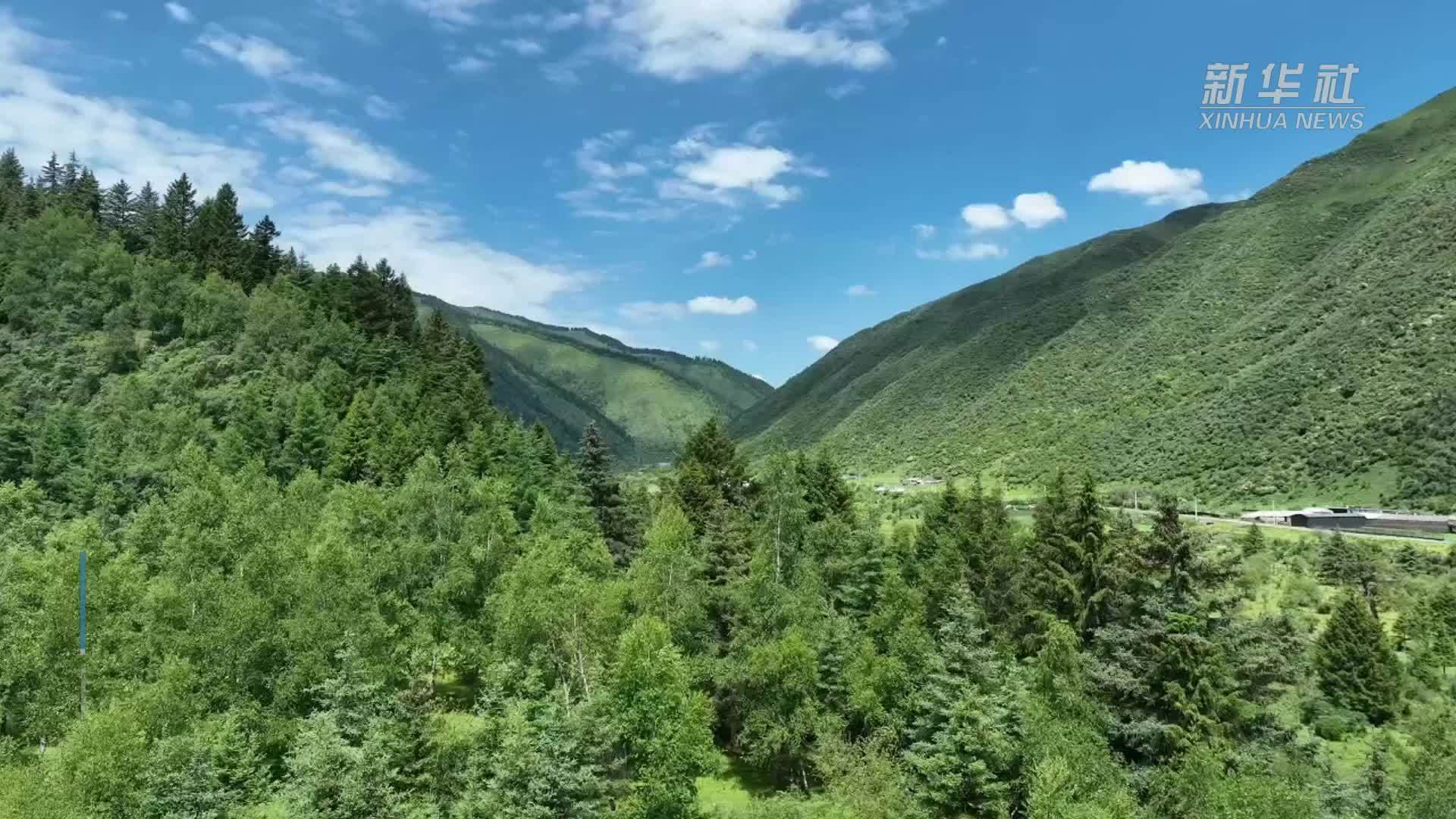 山水秘境大峪沟