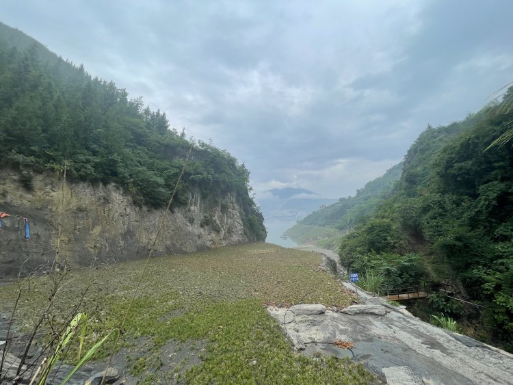 奉节一无名码头下河道路已实现生态复绿