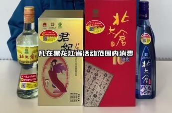 北大仓110周年庆典，8月30日在“尔滨”追加一场群星演唱会！（3）