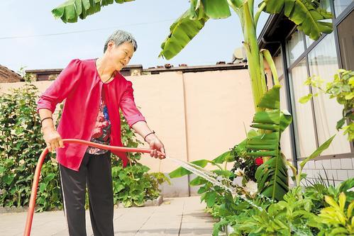 7月3日，在故城县青罕镇刁孝子村，村民张秀俊用净化后的尾水浇绿植。 河北日报通讯员 齐红雨摄