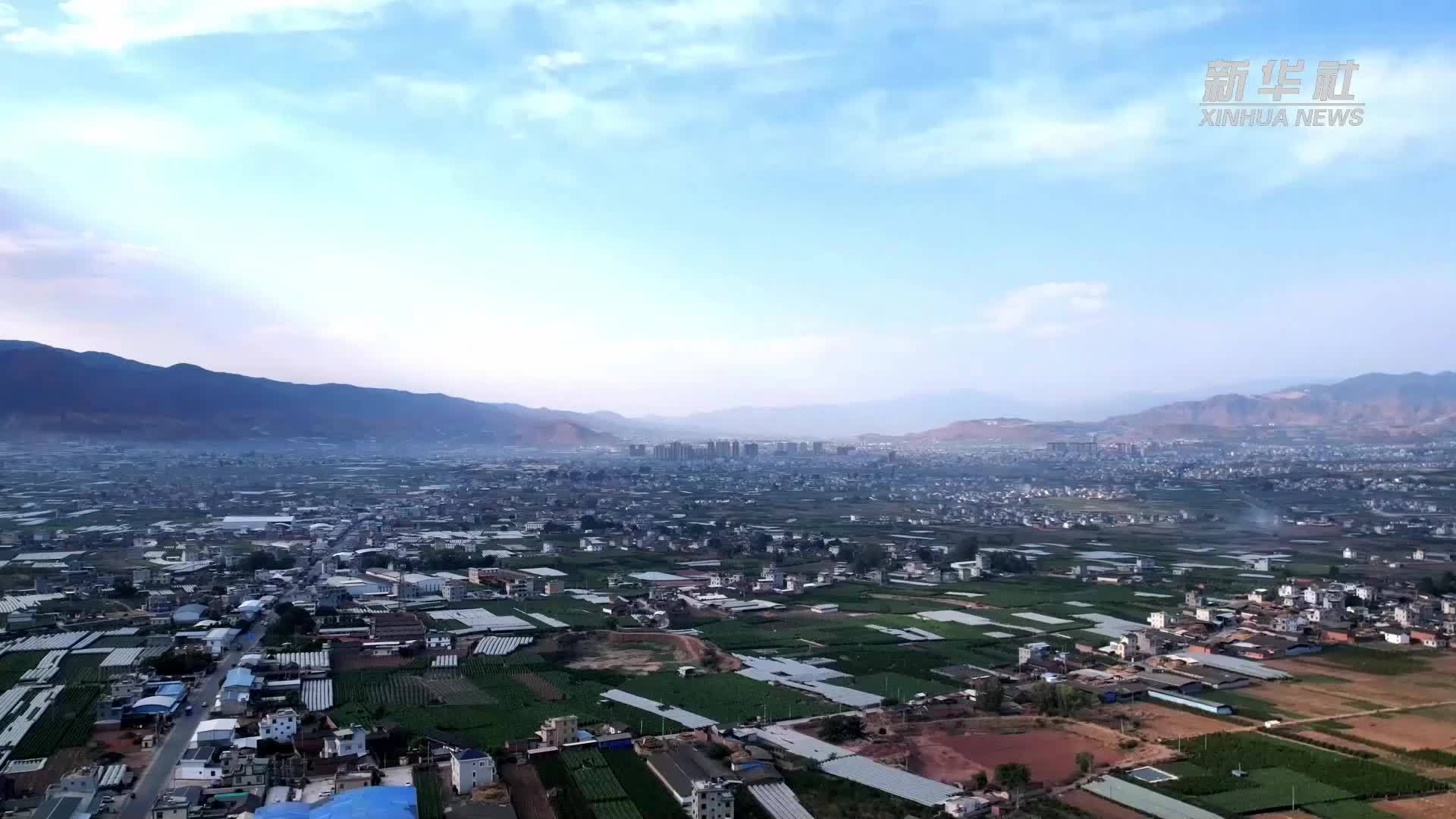 我的就业故事 | “90后”村支书的乡村振兴梦