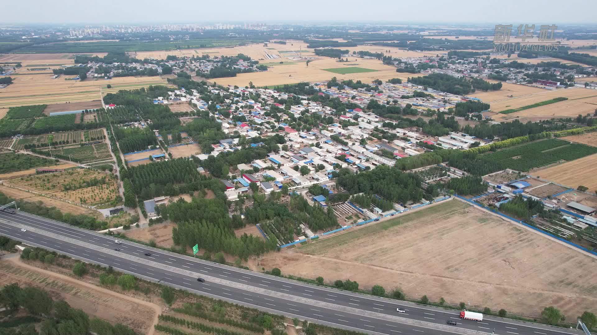 党旗在基层一线高高飘扬｜河北省肃宁县西泊庄村：“糖人村”的“甜蜜”日子