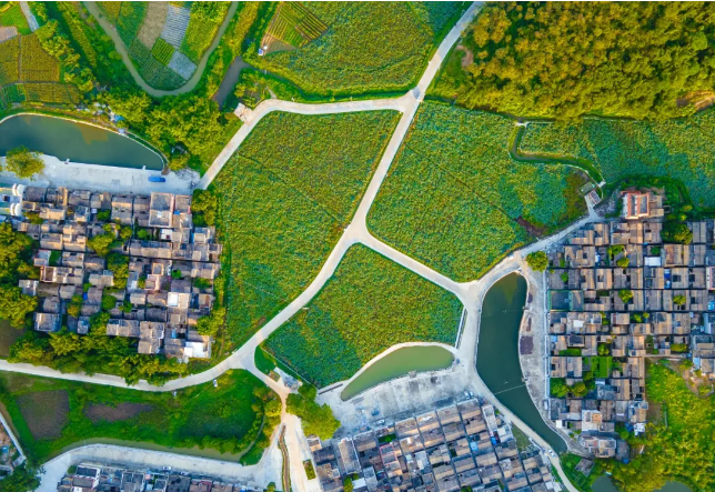 台山市桂水村