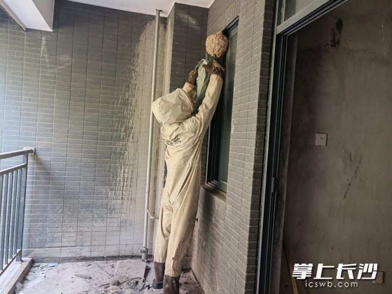 一个大型的马蜂窝悬挂在阳台窗户上，消防及时摘除，消除安全隐患。