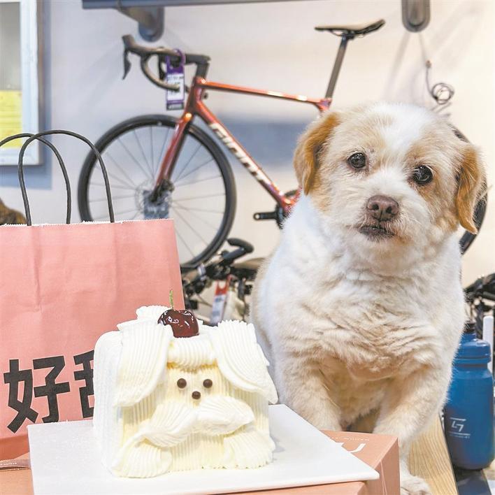 小萨的12岁生日 受访者供图