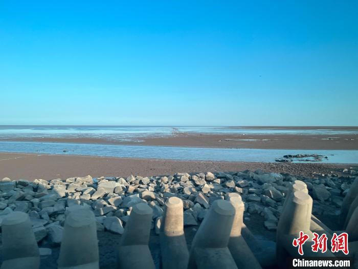 6月25日，中华环保世纪行2024年宣传活动采访团走进黄河三角洲国家级自然保护区。图为互花米草被治理后的河滩。曾玥 摄