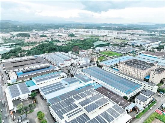 江门蓬江正不遗余力抢抓“大桥经济”重大历史机遇 图为蓬江产业园 邓少军 摄