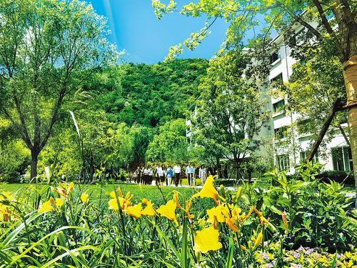 6月24日，游客漫步在阿那亚&middot;雾灵山休闲度假区。 本组图片由河北日报记者陈宝云摄