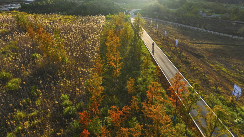 这是江西德兴铜矿采矿场生态创新示范园景色（2023年11月22日摄，无人机照片）。新华社发（张伟峰 摄）