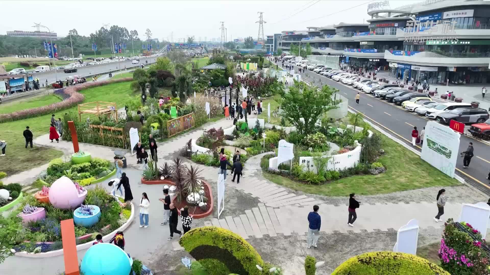 党旗在基层一线高高飘扬｜成都世园会上的党员服务队