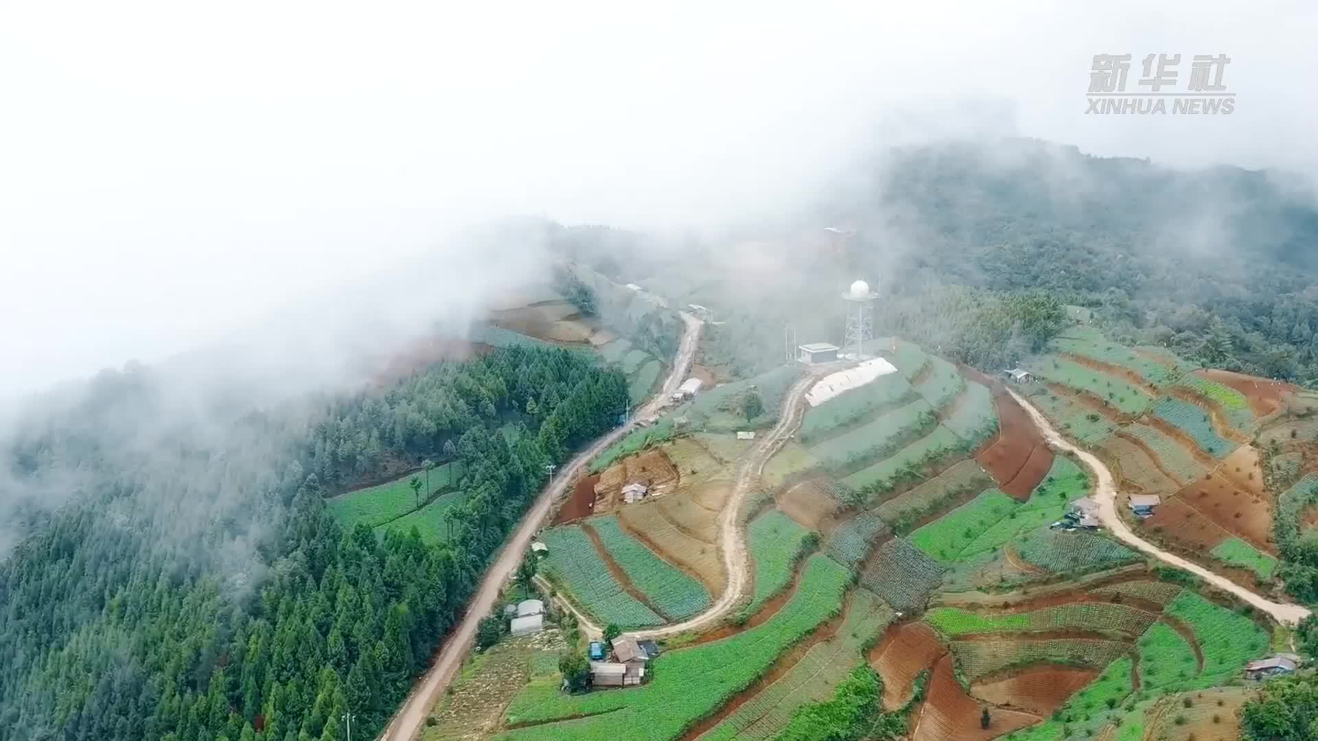 云南盈江：高山蔬菜开启乡村振兴“致富门”